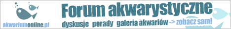 Logo Akwarium on-line