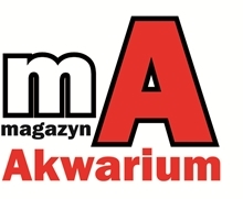 Magazyn Akwarium