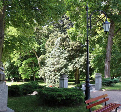 park schodowy