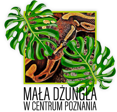 mała dżungla