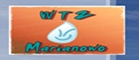wtz logo