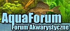 aquaforum