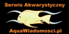 aquawiadomosci