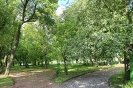 Park w majowym słońcu