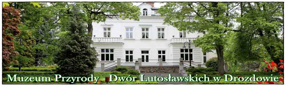 MUZEUM PRZYRODY W DROZDOWIE