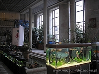 Drozdowskie akwaria w Warszawie