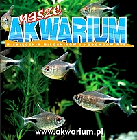 wasze_akwarium