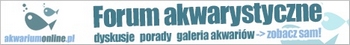 Akwarium Online