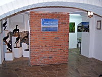 Otwarcie wystawy "Żyjący Świat Jezior Warmii i Mazur" 