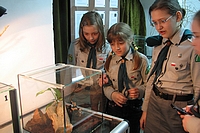 Pająki ptaszniki i skorpiony - wystawa w Drozdowie
