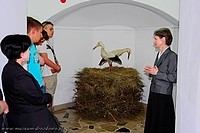 IMG_0539_m